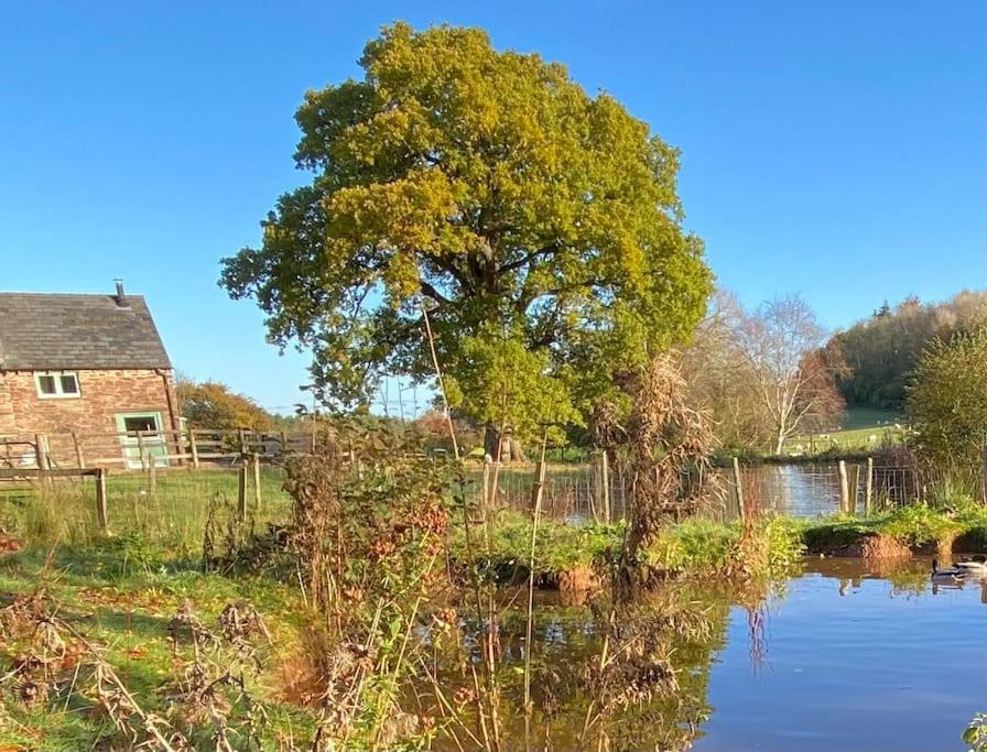 Oaklands Cottage On A Rural Farm Dingestow 외부 사진